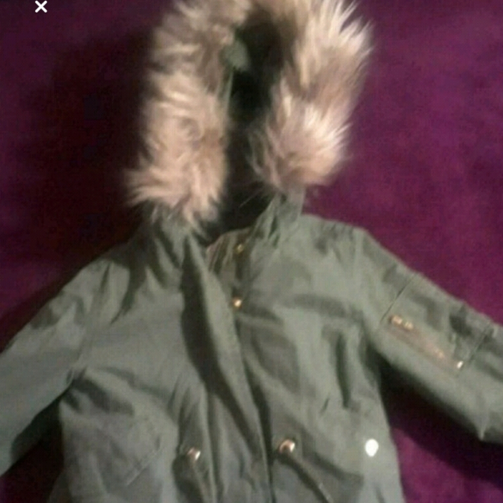 Olive green the gap coat
